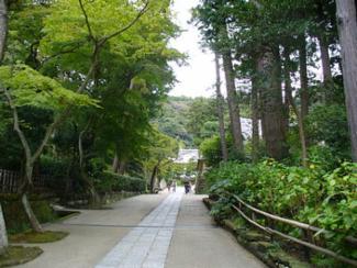 Kamakura Entdecke Japan Tipps Und Infos Zur Reise Nach Japan